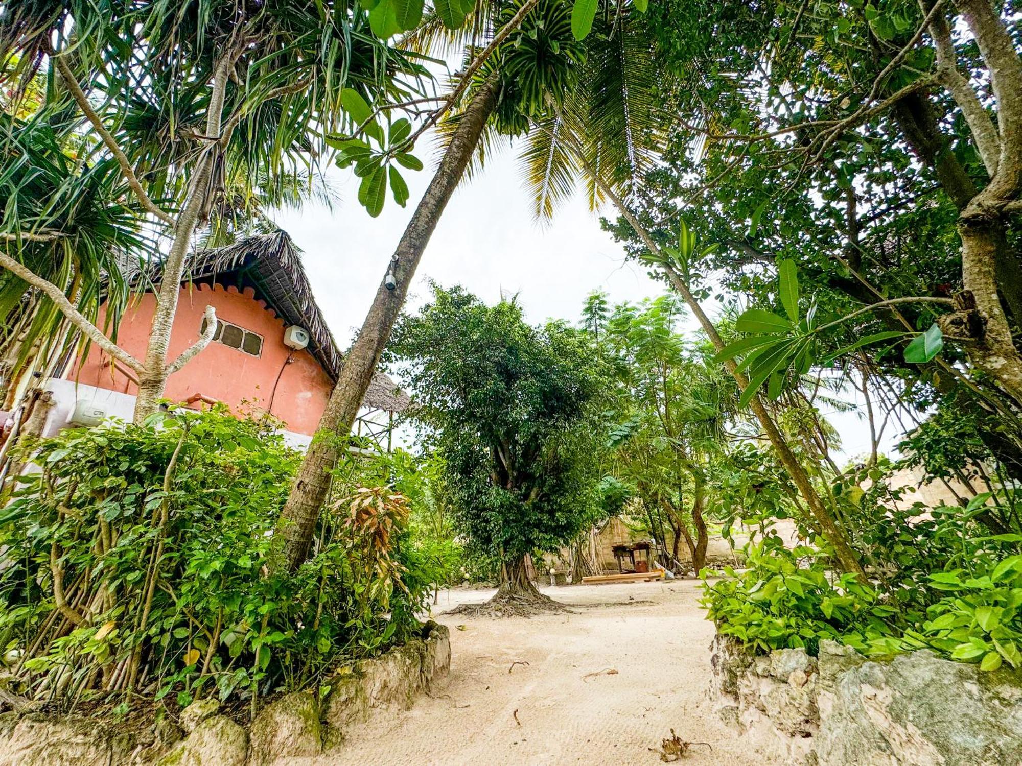 Sagando Bungalows Zanzibar Michamvi Kae Luaran gambar